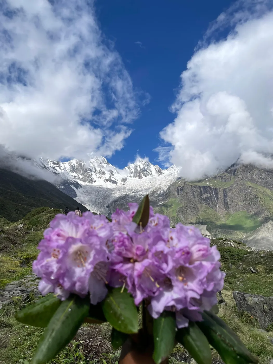 Himalayan views along the way
